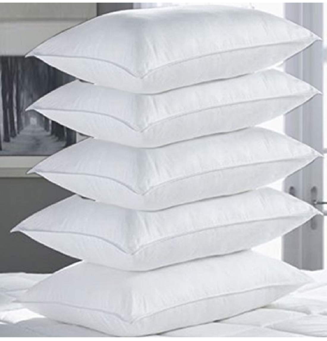 Filled Pillow Pack of 6 (19x29 inch) - 99 Bedding Store