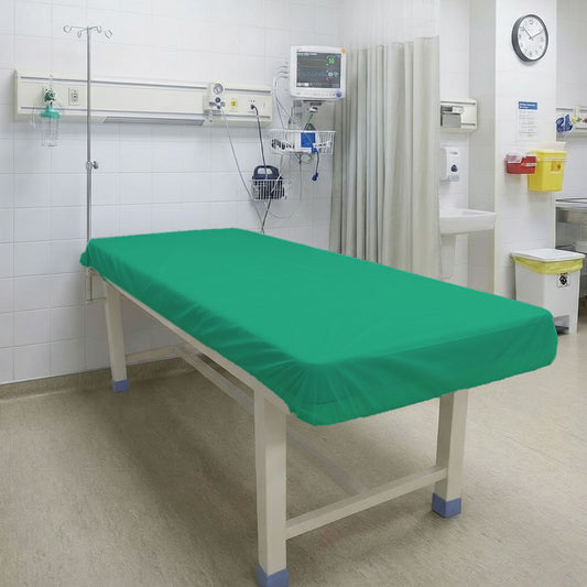 Disposible Couch Cover  -Pack of 10