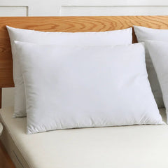 Filled Pillow Pack of 2 (19x29 inch) - 99 Bedding Store