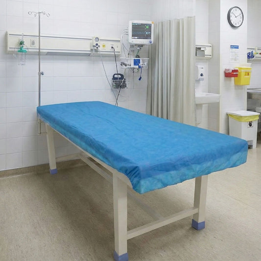 Disposible Couch Cover  -Pack of 10